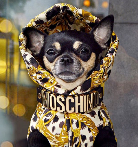 Moschino x H&M Moschino x H&M
